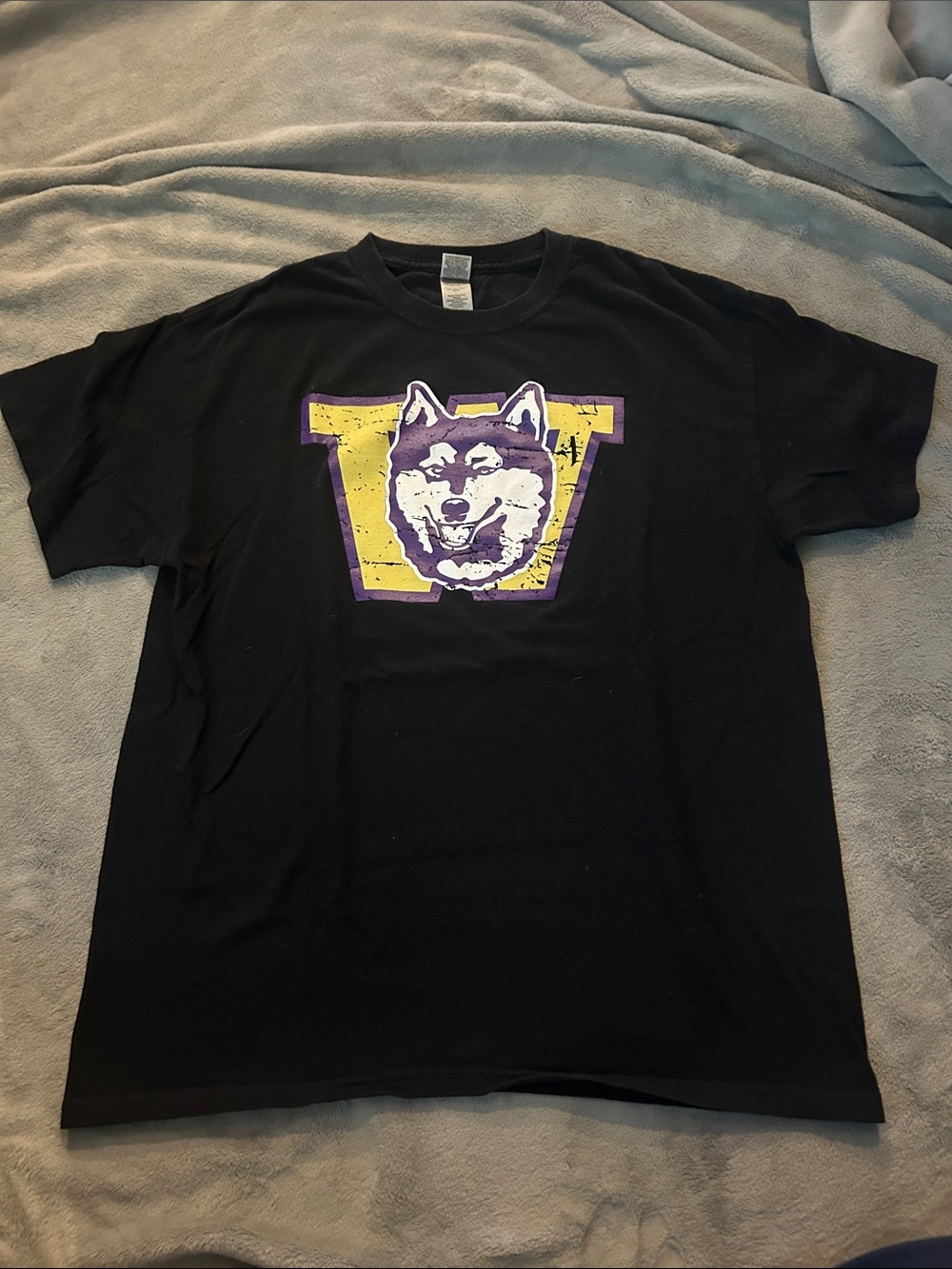 Gildan UW T-Shirt